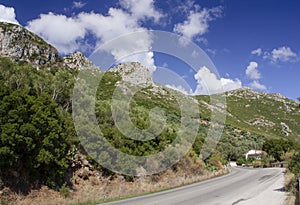 Hillside in Corfu photo