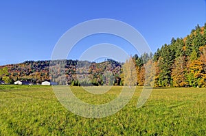 Hillside farm pasture in autumn