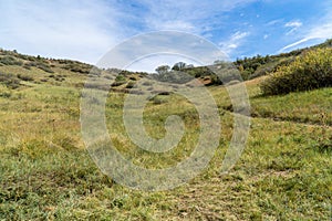 Hillside field of grass