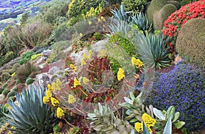 Hillside Garden at Larnach Castle NZ