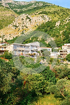 Hillside holiday apartments, Montenegro, Europe