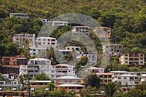 Hillside with houses in St.Thomas, VI.