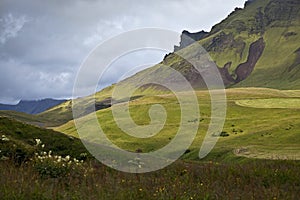 Hillside in Iceland