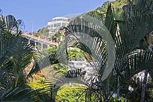Hillside jungle residences in Puerto Vallarta