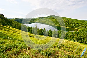 The hillside and lake