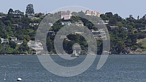 Hillside landscape seen from Sausalito, California