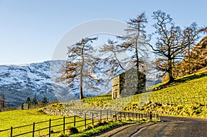 Hillside of Langdale, English Lake District, UK