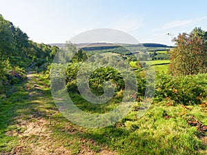 On a hillside looking out over the fields and woodlands of Derbyshire