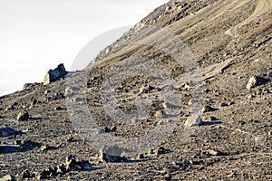 Hillside of Merapi volcano at sunrise. Central Java, Indonesia