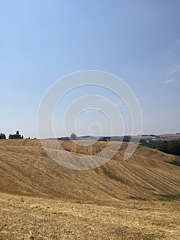 Hillside near Siena, Tuscany, Italy