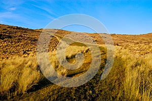 Hillside in patagonia