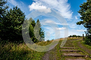 Hillside Path