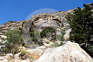 Hillside in Red Rock Canyon, Nevada