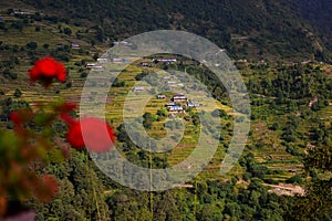 Hillside rice terraces in Nepal