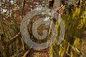 Hillside shady path in deserted factory of 1970s