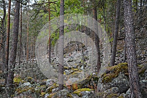 Hillside stones  in the forest near the Ladoga Lake