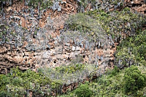 Hillside tombs at the biggest cemetery from Incan time, Pisac Inca Ruins in the Sacred Valley of the Incas, Cusco, Peru