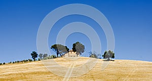 Hilltop farm Tuscany Italy