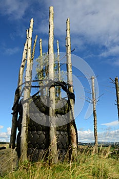 Hilltop Feature - Regeneration of Former Opencast Site photo