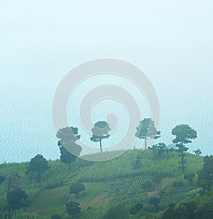 Hilltop Fields Guatemala