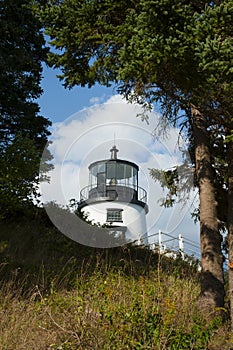 Hilltop Lighthouse by Evergreen Trees in Maine