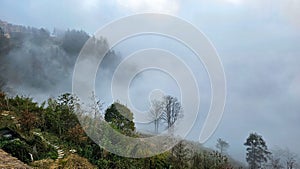 Hilltop with trees and scattered clouds in Duo Yi Shu, China