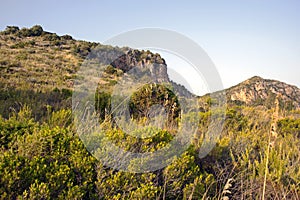 Hilltop with the typical Mediterranean scrub. photo