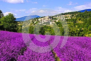 Hilltop village in Provence, France with beautiful lavender