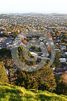 Hilltop vista of suburb with colorful trees in fall before sunset from Mount Eden, Auckland, New Zealand