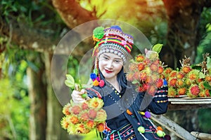 Hilltribes and rambutans in the harvest season