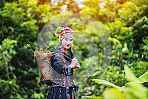 Hilltribes and rambutans in the harvest season