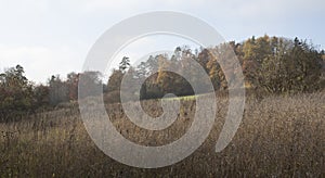 A hilly autumnal landscape in swabian alb