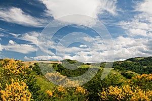 Hilly countryside of le Marche, Italy