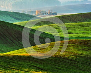 Hilly field. picturesque hills of autumn field