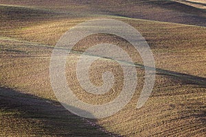 Hilly fields of Tuscany