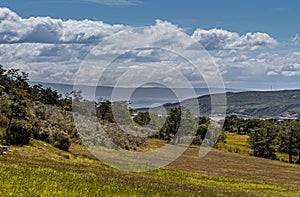 Hilly grassland at Posada Estancia Rio Verde, Riesco Island,, Chile