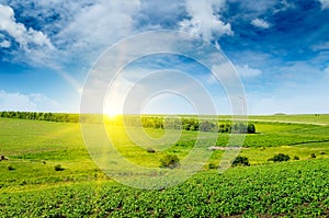 Hilly green field , sun rise and windmill on blue sky background