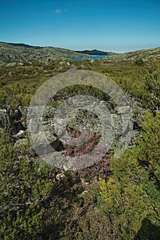 Hilly landscape with bushes and rocks on highlands