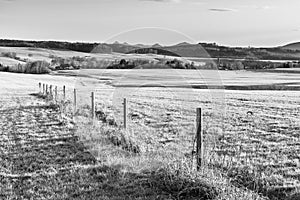 Hilly landscape illuminated by evening sunset. Green grass fields and hills on the horizont. Vivid spring rural