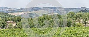 Hilly landscape near Greve in Chianti, Italy