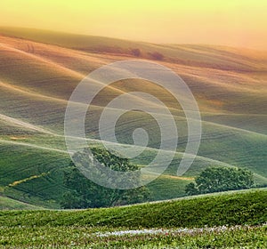 Hilly landscape of Tuscany