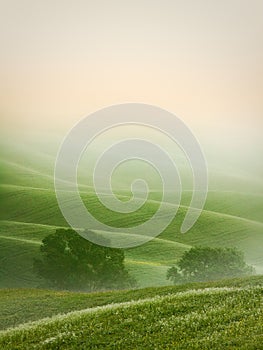 Hilly landscape of Tuscany