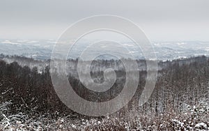 Hilly landscape in winter