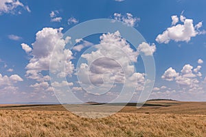 Hilly Mountains Wilderness savannah grassland in the Maasai Mara Triangle National Game Reserve Park And Conservation Areas Explor