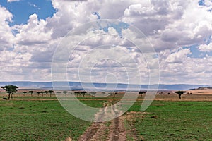 Hilly Mountains Wilderness savannah grassland in the Maasai Mara Triangle National Game Reserve Park And Conservation Areas Explor