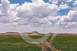 Hilly Mountains Wilderness savannah grassland in the Maasai Mara Triangle National Game Reserve Park And Conservation Areas Explor