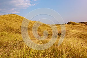 The hilly nature of Eastern Europe. Background with copy space for text, toned