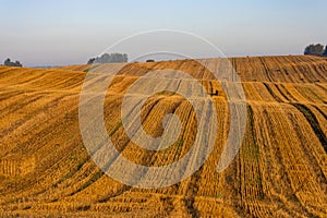 Hilly rural landscape. Harvested wheat field with bales of straw in the early morning