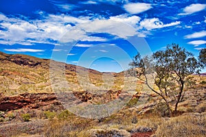 Savanna landscape in the outback of the Pilbara, Western Australia photo