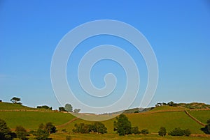 Hilly Silky Grassland with Trees and Gates in Lake District